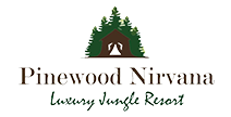 Inde Pinewood Nirvana Shoghi Shimla